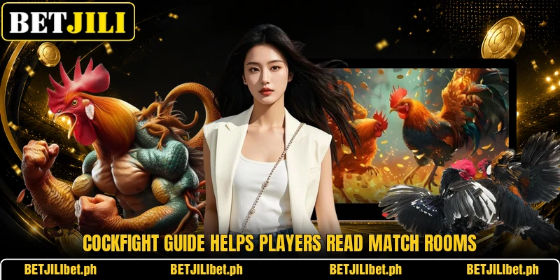Cockfight guide helps players read match rooms