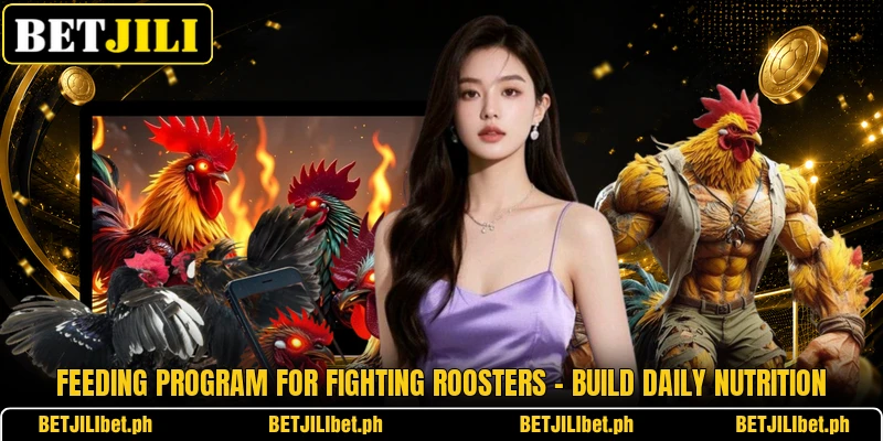 Feeding Program For Fighting Roosters – Build Daily Nutrition