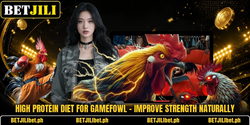 High Protein Diet For Gamefowl – Improve Strength Naturally