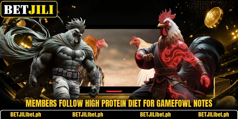 Members follow High protein diet for gamefowl notes