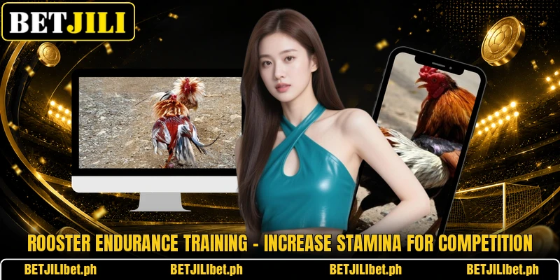 Rooster Endurance Training – Increase Stamina For Competition