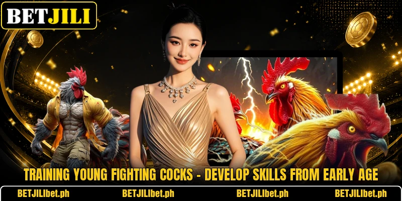 Training Young Fighting Cocks – Develop Skills From Early Age